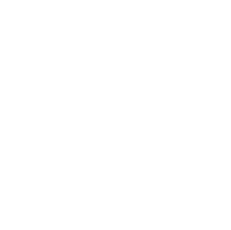 Puzzlebros Studio